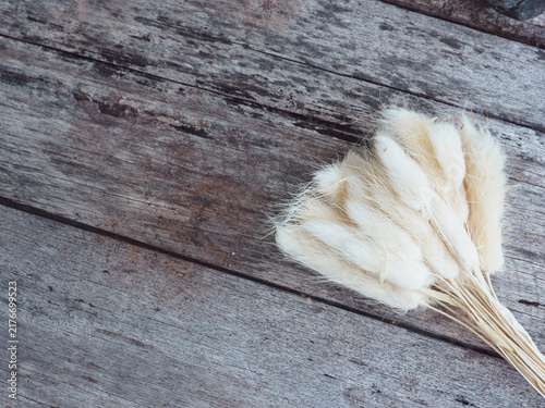 Dried white bunny tails bouquet arranged on weathered wooden plank background, offering a cozy boho aesthetic with generous copy space for design projects.