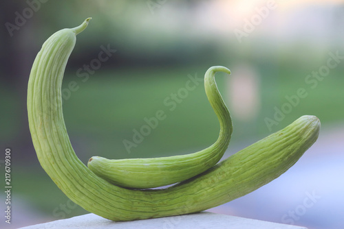 Fresh Armenian cucumber, a long, crisp green vegetable with a refreshing taste