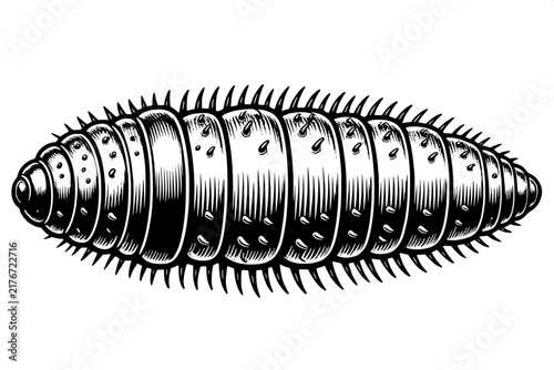Black and White Giant African Earthworm Scientific Vector Illustration
