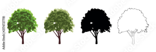 4 trees_4. A collection of tree vector graphics drawn in four different styles A wooden graphic element suitable for use in architectural drawings, landscape design, or natural environment graphics.
