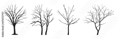 4 trees_8. A black silhouette vector illustration of four leafless deciduous trees and dry trees in winter. A wooden graphic element suitable for use in architectural drawings, landscape design.