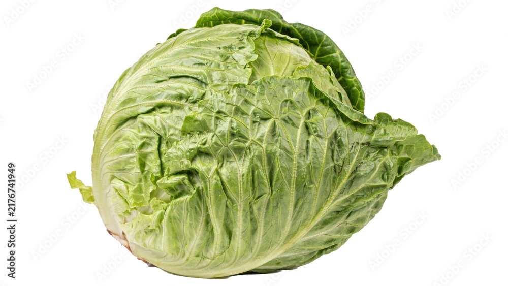 Fototapeta premium A single fresh whole head of green savoy cabbage with crinkled textured leaves for healthy cooking ingredients isolated on a transparent background