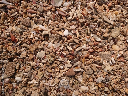 Canvastavla This is a detailed view of beach sand composed of tiny seashells, coral fragments, and pebbles