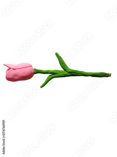 Obraz na plátně Single pink tulip with green stem contrasting against stark black background min