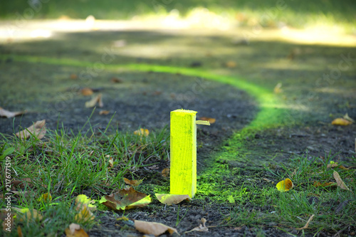Bright Yellow Survey Stake Marking Property Boundary Line on Ground in Green Lawn Area