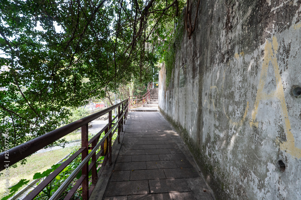 Fototapeta premium Lush Green Hiking Path on Section 5 of the Taipei Grand Trail in Neihu, Taiwan