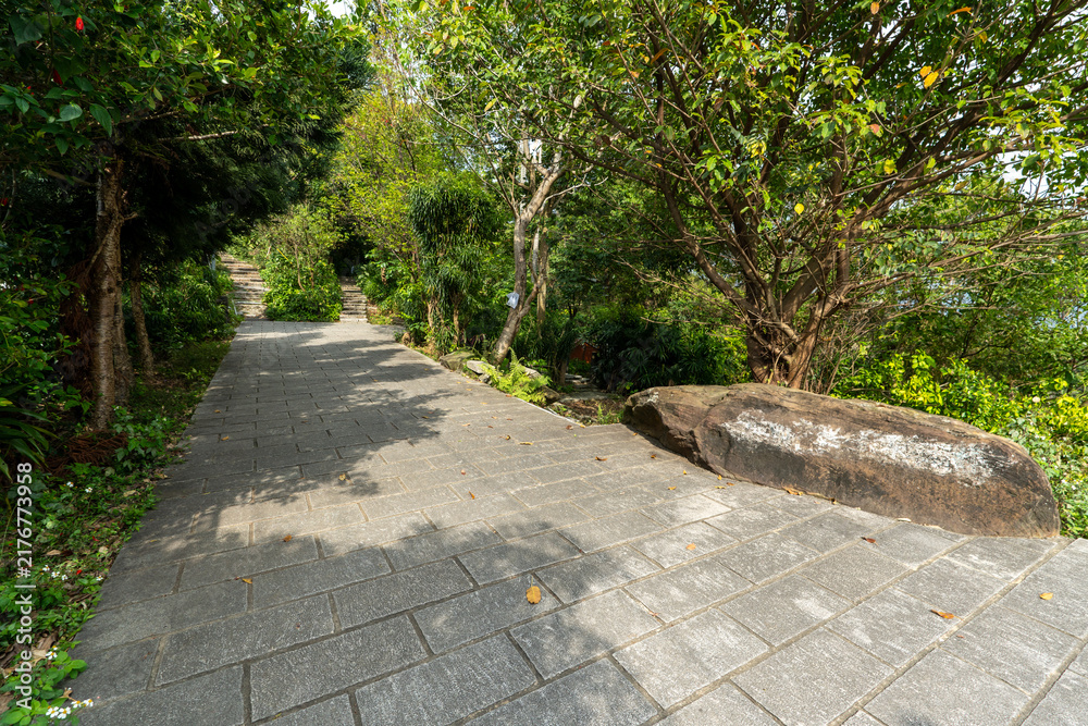 Fototapeta premium Lush Green Hiking Path on Section 5 of the Taipei Grand Trail in Neihu, Taiwan