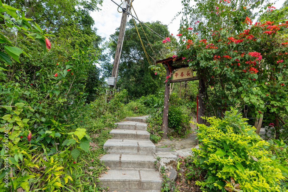 Obraz premium Lush Green Hiking Path on Section 5 of the Taipei Grand Trail in Neihu, Taiwan