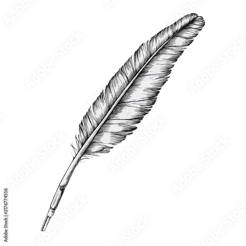 Quadro su tela feather and ink