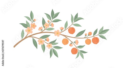 Delicate botanical branch with green leaves and small orange fruits on a white background