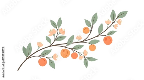 Botanical branch with green leaves and small orange fruits in hand-painted watercolor style