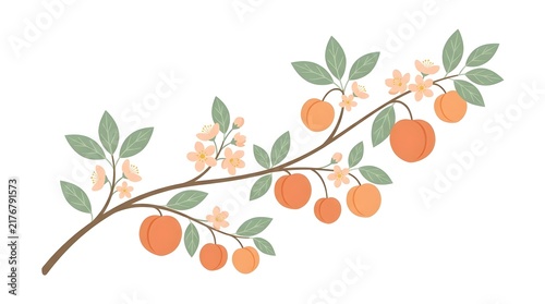 Decorative botanical branch with green leaves and clusters of orange citrus fruits