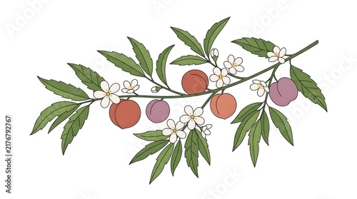 Botanical branch with green foliage, white blossoms and purple and red fruit