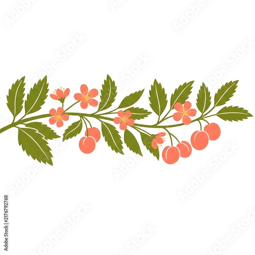 Botanical fruit branch with green leaves, white flowers and clusters of orange and red berries