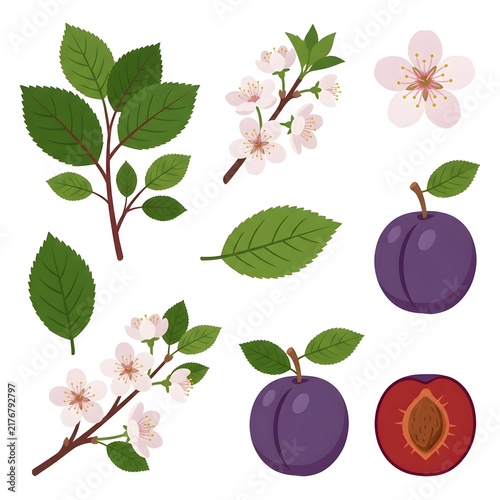 Botanical collection of fruit branches, blossoms, leaves and purple and red stone fruit