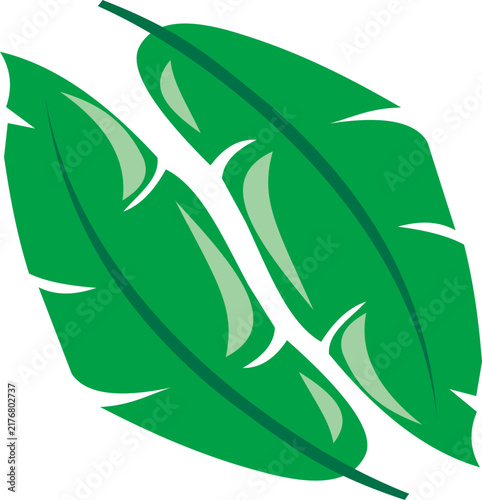 The Green Banana Leaf Icon: A Design Element for Logos and Decor