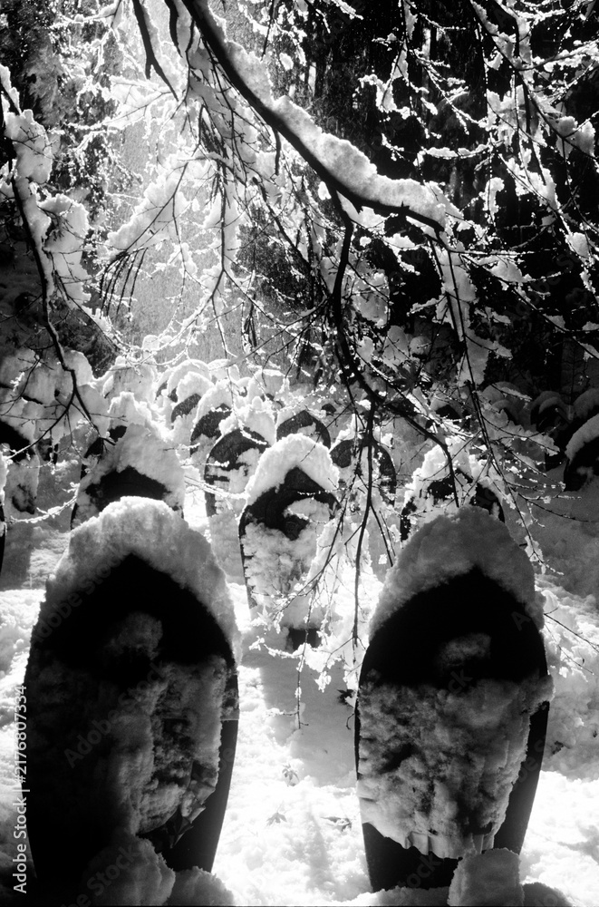 Naklejka premium Snow-covered winter scene with two gravestones beneath frosty branches.
