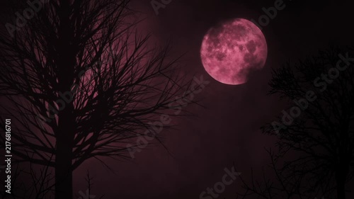Mysterious Pink Moonlit Forest Under a Dreamy Night Sky