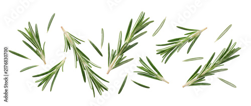 Obraz na płótnie Fresh rosemary isolated on transparent background
