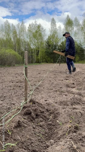 Man marking a field with stakes and rope for planting potatoes, vertical video.