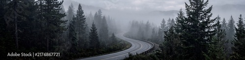 Winding mountain road stretches through a dark dense evergreen forest under thick heavy morning fog clouds