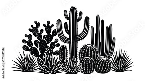 Black and white desert cacti illustration
