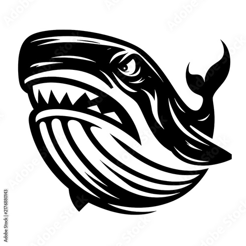 vector image of a shark