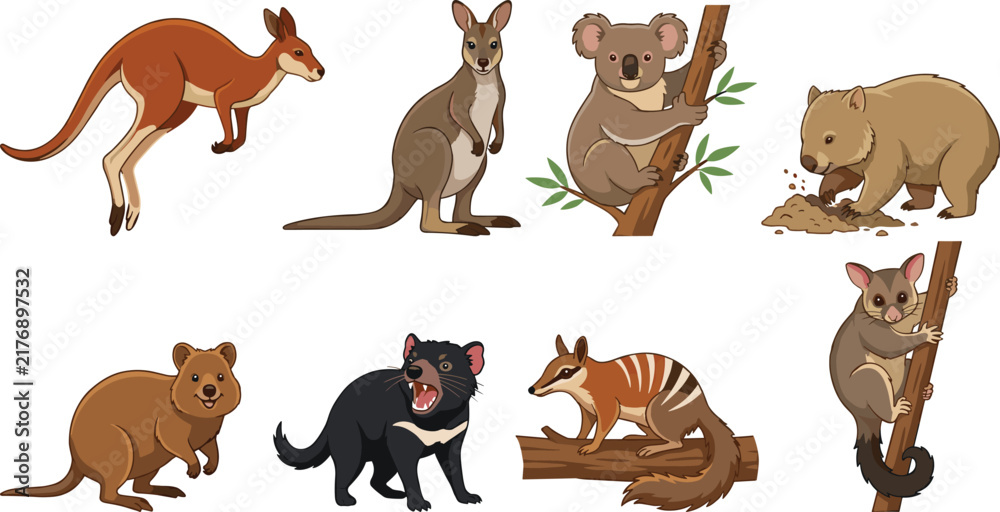 Naklejka premium Cute Australian Animal Cartoon Collection Featuring Kangaroo Koala Wombat Tasmanian Devil and Quokka