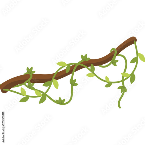 Jungle Vine Illustratiion