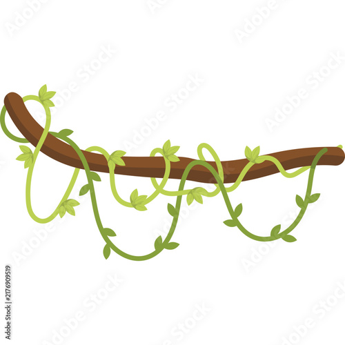 Jungle Vine Illustratiion