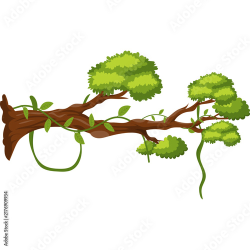 Jungle Vine Illustration