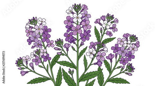 Adobe Illustrator Artwork