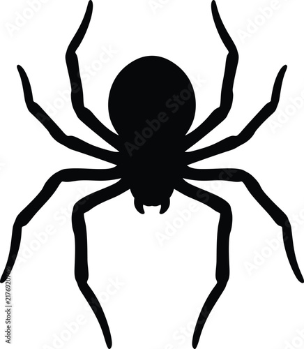 Cuadro en lienzo Spider silhouette vector. Creepy spider vector icon