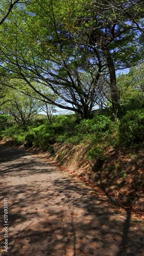 Vertical 4K Slow Pan of Peaceful Mountain Path at Nodake in Omura, Nagasaki, Japan