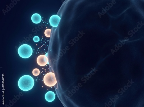 3D microscopic visualization of extracellular vesicle exosomes budding from biological cell membrane