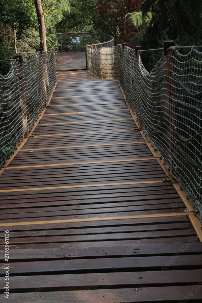 Obraz premium wooden bridge in the woods