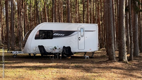 Modern travel trailer caravan parked amidst towering pine trees with cozy outdoor seating space