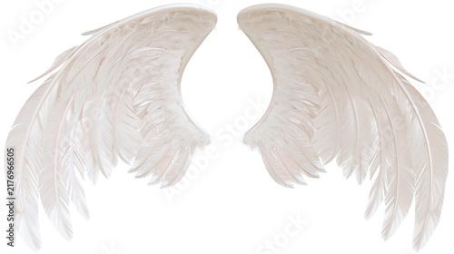 Obraz na plátně Pair of soft white feathered angel wings spread wide