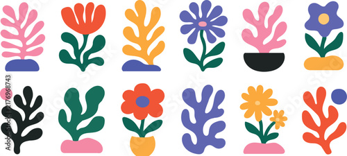 Colorful Abstract Botanical Flowers and Organic Plant Vector Set