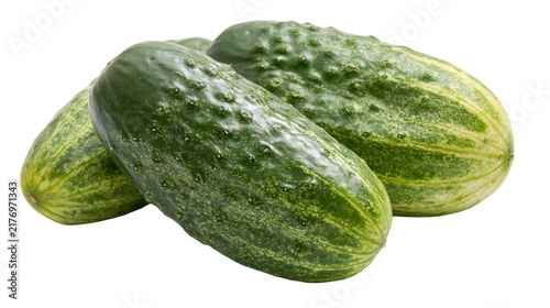 Obraz na płótnie Fresh green bumpy pickling cucumbers with textured skin
