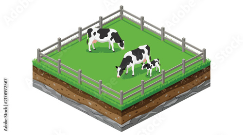Black and white Holstein cows graze in a green isometric pasture enclosed by wooden fencing