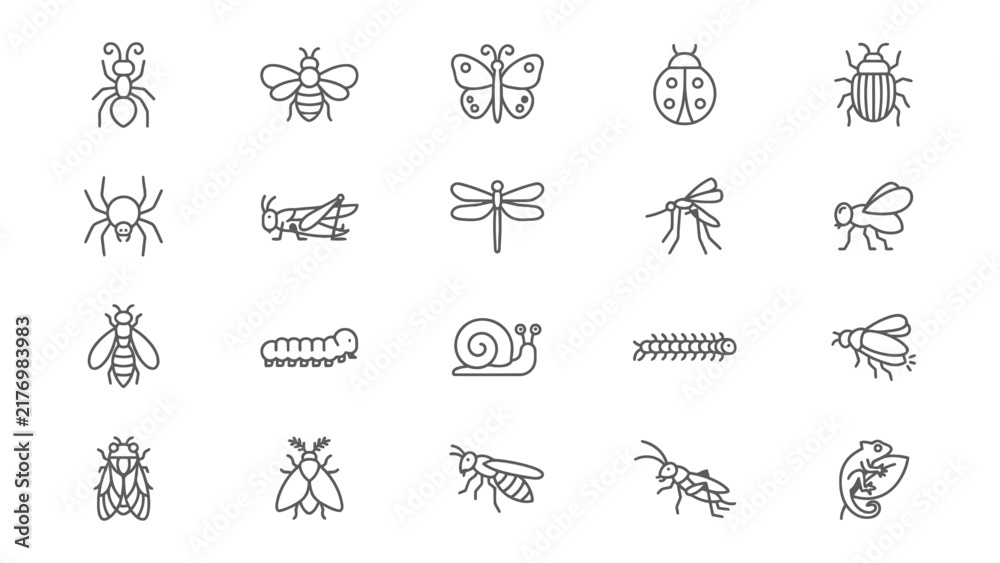 Fototapeta premium Collection of various illustrated insects and small creatures line art designs