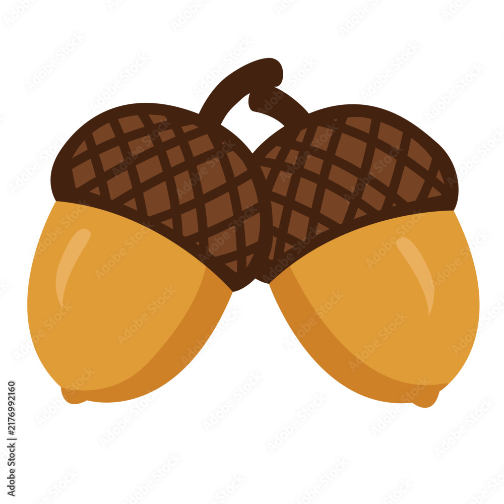 Fotografía Two Acorns Vector Illustration Flat Oak Tree Nuts Design