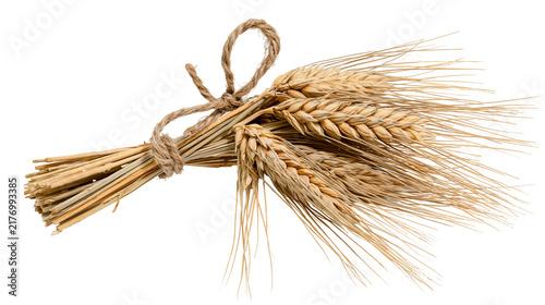 Obraz na plátně Golden wheat ears bundle tied with rustic twine rope