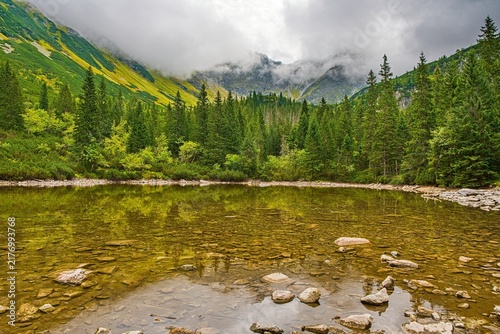 Wide scenic landscape of a clear alpine lake with shallow stone bottom, lush green evergreen pine forest, and dramatic misty mountain peaks in the background. Concept of pristine nature, hiking, outdo