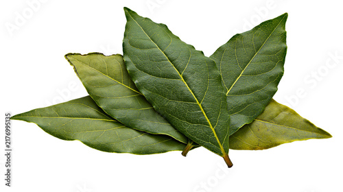 Fotografía Fresh green aromatic bay leaves for culinary seasoning
