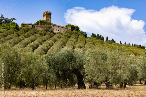 Konstfotografi Scenic Tuscan countryside near Piombino, Italy, with olive trees growing diagonally across a rolling hillside and a historic estate surrounded by Mediterranean vegetation