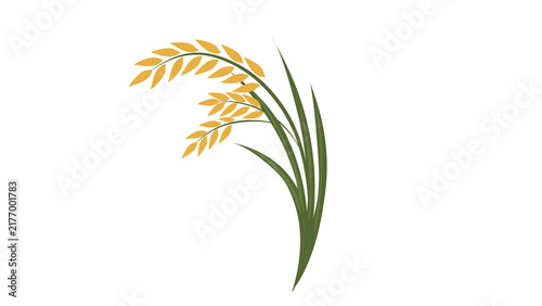 Photography plant, leaf, nature, grass, tree, vector, green, branch, wheat, agriculture, il