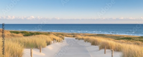 Coastal dune conservation featuring grasses, sand dunes, native vegetation, wooden pathways, erosion protection structures, monitoring posts, and undisturbed shoreline habitat under an open sky