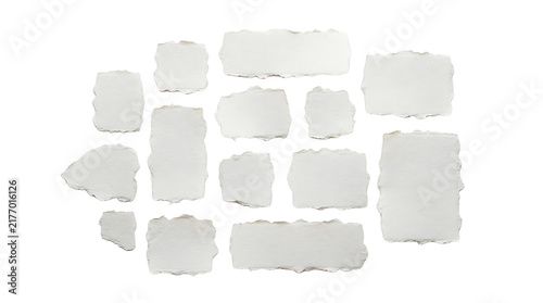 Set of various blank paper note shapes and labels with torn edges isolated on a clean white background for design